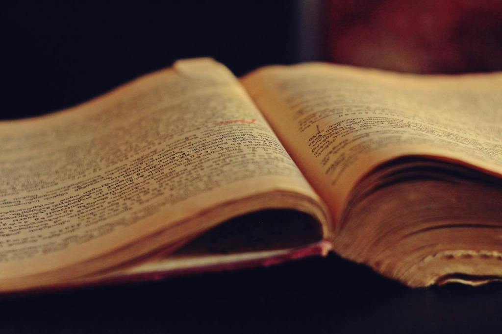 Expert Literary Editing For Your PhD&nbsp;Thesis